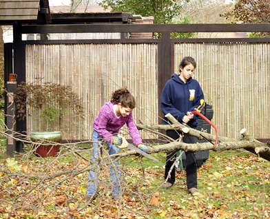 Fallen Apple Tree Sandy 2012-Sheva Apelbaum