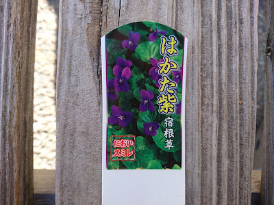 ラベル