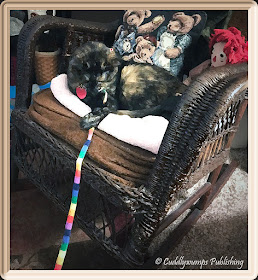 Real Cat Paisley with rainbow ribbon_dry brush