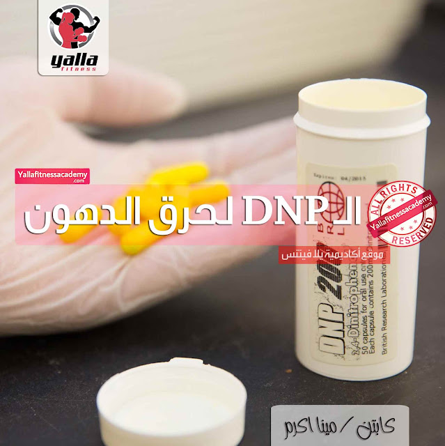 كل ما تحتاج معرفته عن الـ DNP | أخطر حوارق الدهون