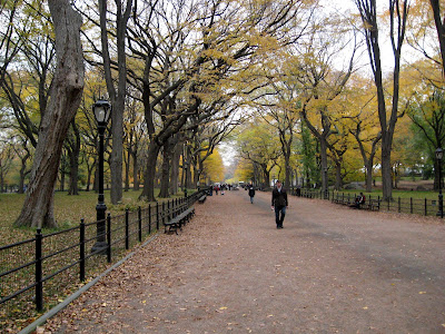 Fall Colors Central Park Literary Walk