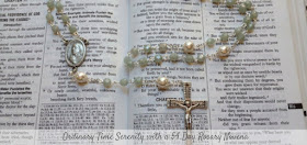 http://catholicmom.com/2016/10/10/preparing-hearts-advent-special-rosary-novena/