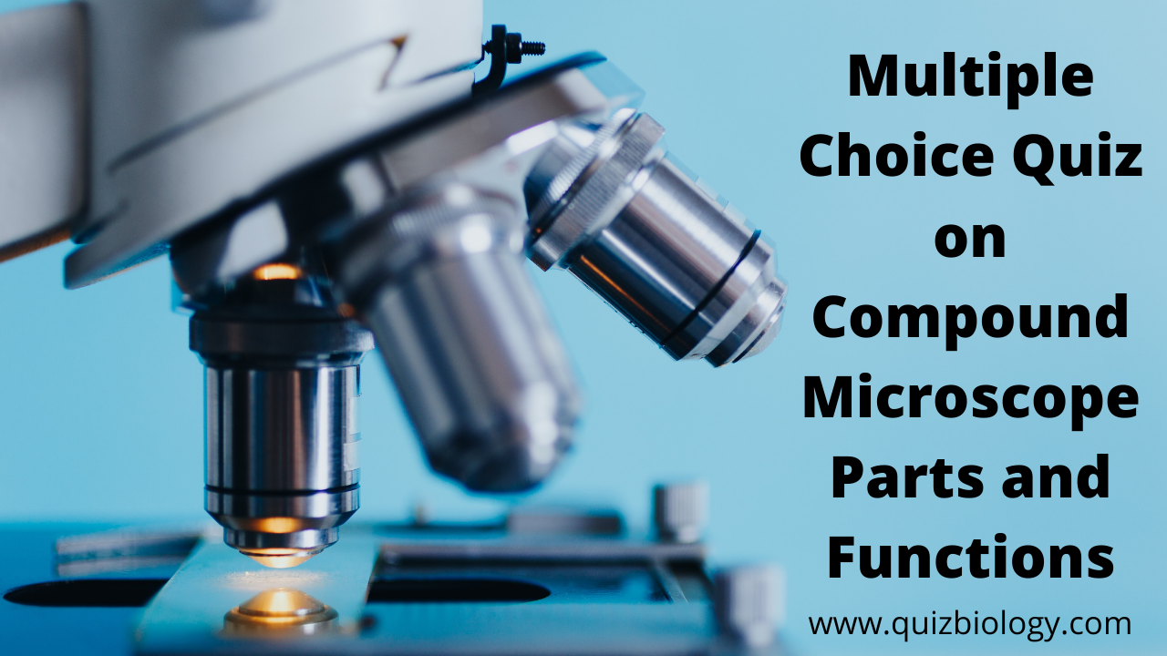 Multiple Choice Quiz on Compound Microscope Parts and Functions