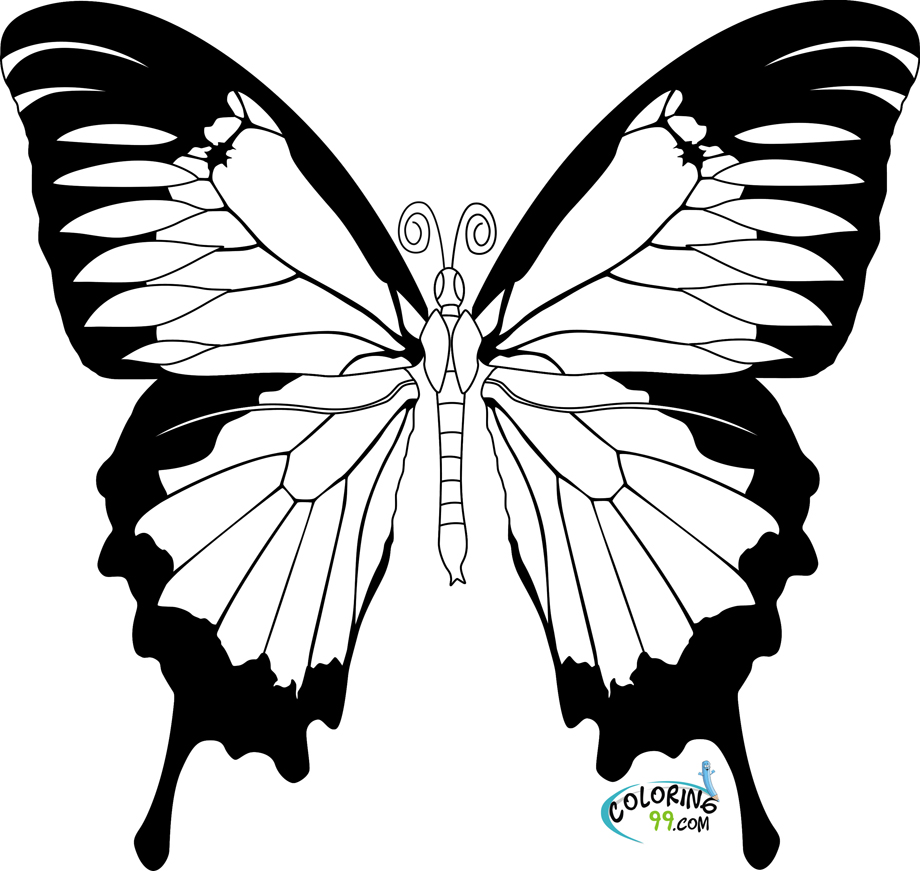 Download Butterfly Coloring Pages | Team colors