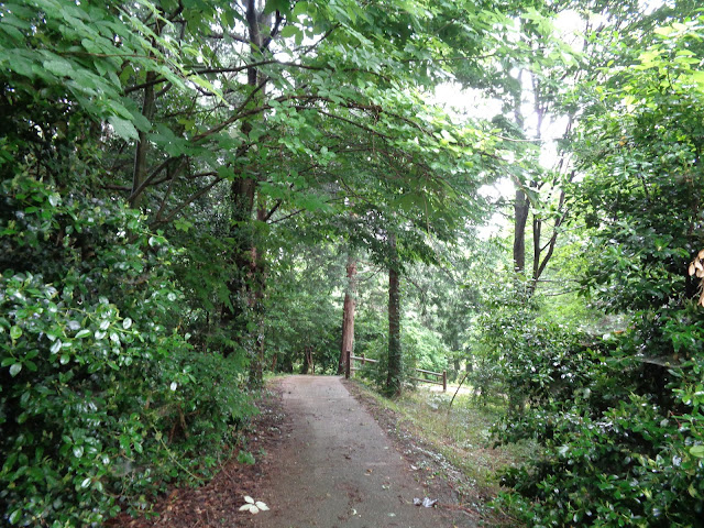 弥生の森　遊歩道