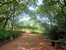 Parque Santo Dias