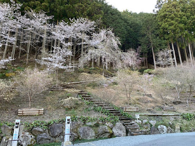 遊歩道へ続く階段