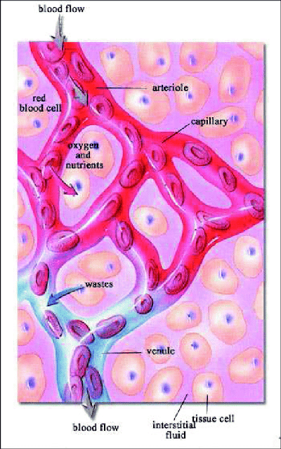 What is biology?