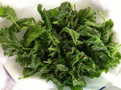 Deep Fried Nettles, Wild Food, Nettle Crisps