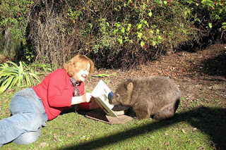 Jackie's two passions are books and wombats  (Photo: jackiefrench.com)