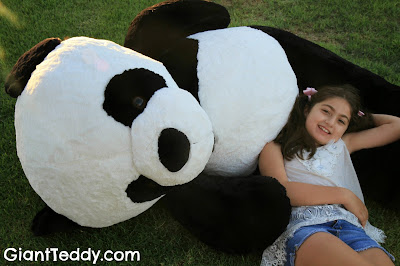 Our Giant Panda Bears are super adorable!