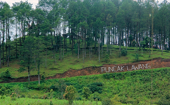 Menikmati Paralayang Di Puncak Lawang Sumatera Barat