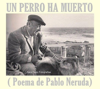 UN PERRO HA MUERTO (Poema de Pablo Neruda)