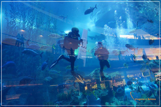 Dubai Aquarium