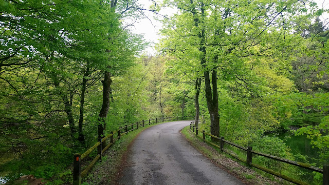 Sauerland wandern Wetter blog Niederense Möhnesee X24 Möhne-Westerwald-Weg