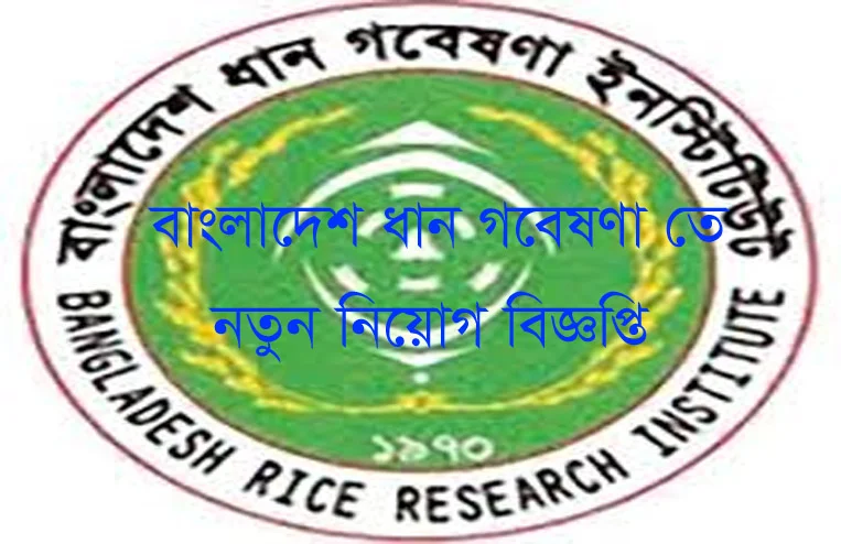 Bangladesh Rich Research Institute Job Circular 2020