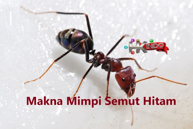 √ Mimpi Semut Hitam - Tafsir Mimpi Togel HKindo