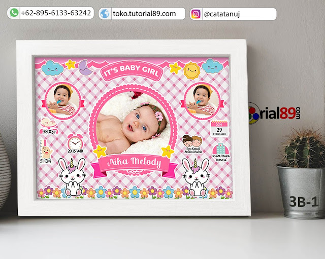 Biodata Bayi Costume Baby Boy Kode 3B-1 | Marmut