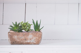 Houseplants in stone planter