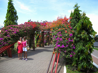 The flower arch