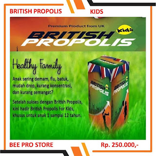 Harga British Propolis Apa Obat Demam Anak dan Dewasa Secara Alami