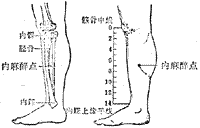 內麻點穴位 | 內麻點穴痛位置 - 穴道按摩經絡圖解 | Source:zhongyibaike.com