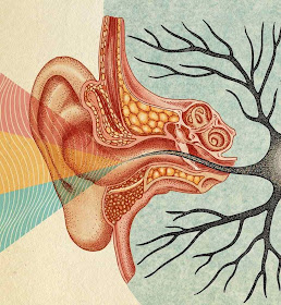 As células sensoriais e outras estruturas podem ser danificadas permanentemente, advertiu a OMS