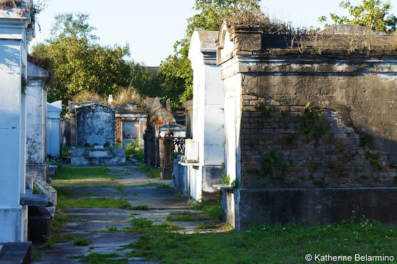 Lafayette Cemetery No. 1 New Orleans Cemetery Tours