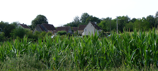 Photographed by Susan Walter. Tour the Loire Valley with a classic car and a private guide.