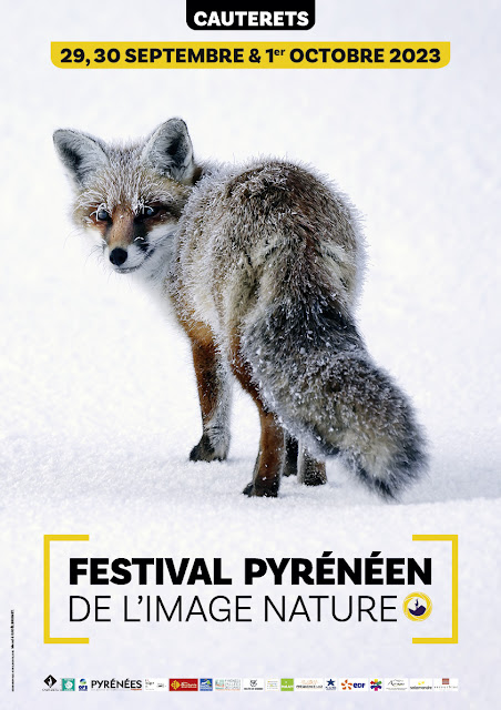Le Festival pyrénéen de l'image nature 2023