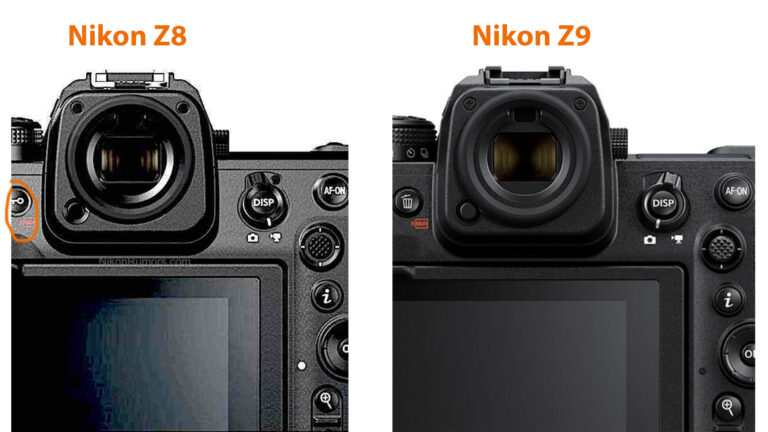 Сравнение задней части Nikon Z8 и Z9