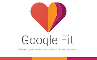 Google Fit 