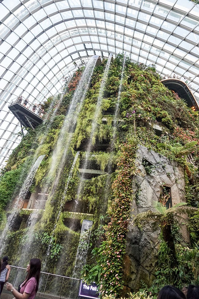 Singapur | Sightseeing: Gardens by the Bay 