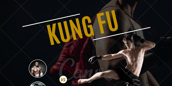 The article about Kung Fu fighting Art 