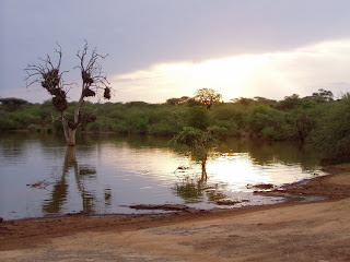 Sunset en el Kruger