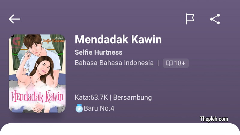 Novel Mendadak Kawin Full Bab