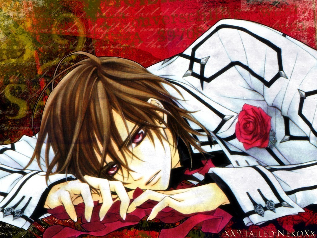 Welcome Home Onii-sama - Vampire Knight 1920x1200. Vampire Knight Wallpapers