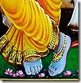 [Krishna's lotus feet]