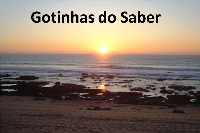 Gotinhas do Saber