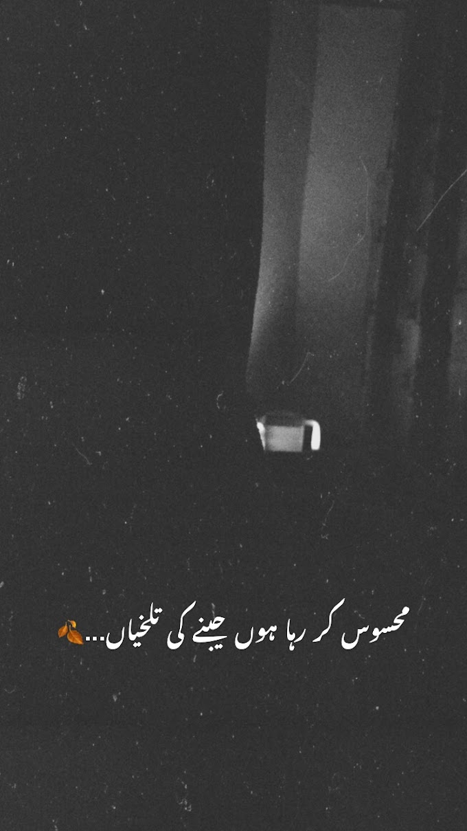 جینے کی تلخیاں 🖤