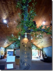 Entering the Nature Center