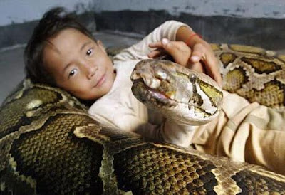 Kid Playing With His Pet Anaconda