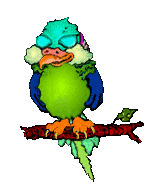Parrot 2