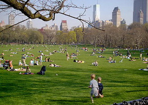 Central Park New York