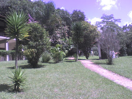 CARANDAÍ...MG.