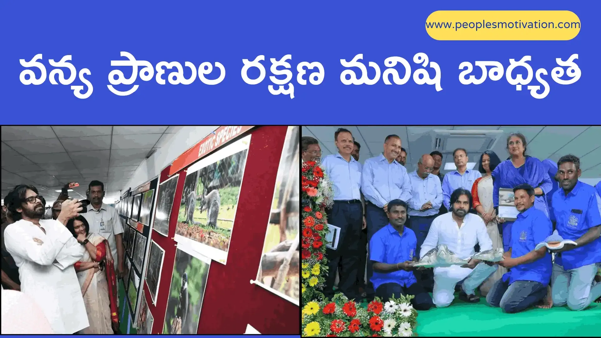 General News telugu latest news telugu intresting news telugu intresting facts Job news health news TS TET TS DSC AP TET AP DSC SSC jobs notifications