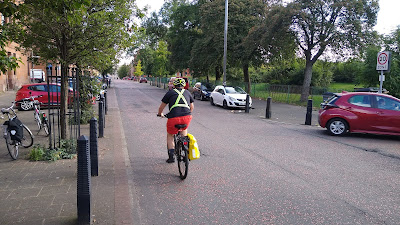 A person riding a bike away from the camera. Junction buildouts can be seen on borth sides of the street with trees and bollards.
