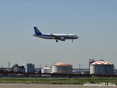 ANA Airbus A320