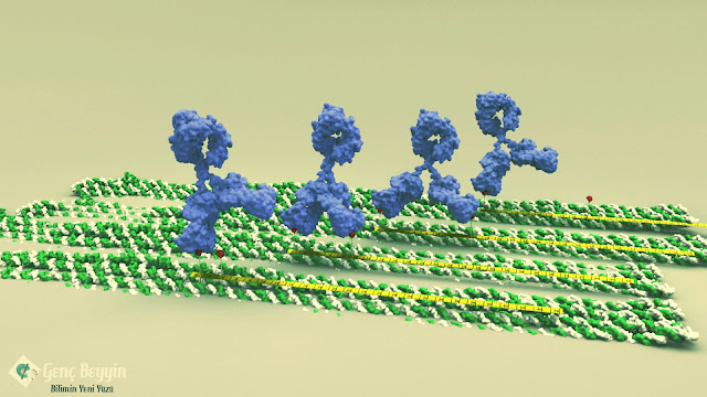 DNA origami