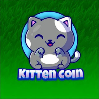 kitten-coin-kittens